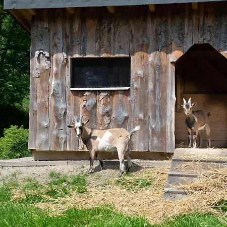 Apartment Schuette Muehle Schmallenberg