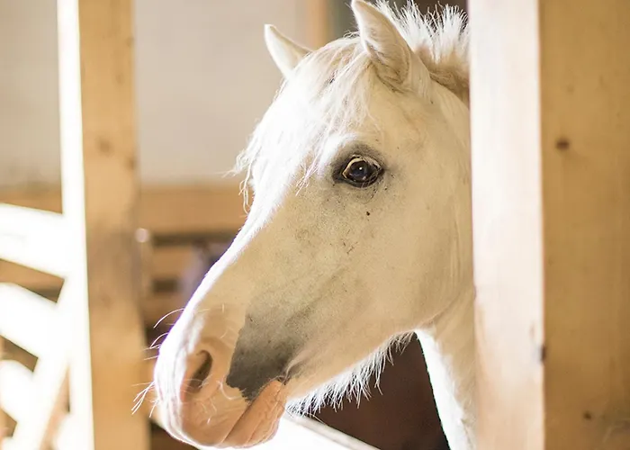 Schuette Muehle Apartment