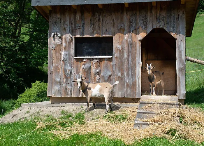 Apartment Schuette Muehle Schmallenberg